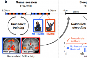 کشف فعال شدن خود به خودی الگوهای عصبی و تثبیت حافظه مرتبط با پاداش در طول خواب با استفاده از ترکیب داده‌های هوش مصنوعی، EEG و MRI